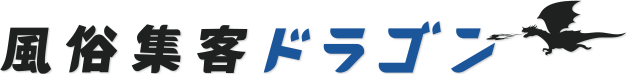 風俗集客ドラゴン